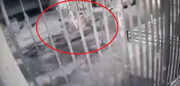 Motochorro recibe paliza tras intentar asaltar a karatecas | Noticias Paraguay