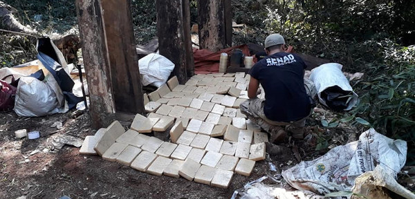 Desarticulan campamentos narco en reserva forestal | Noticias Paraguay
