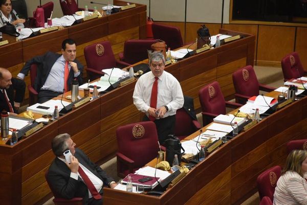 Tildan de cobarde a Riera por criticar y luego “huir” de la sesión - Nacionales - ABC Color
