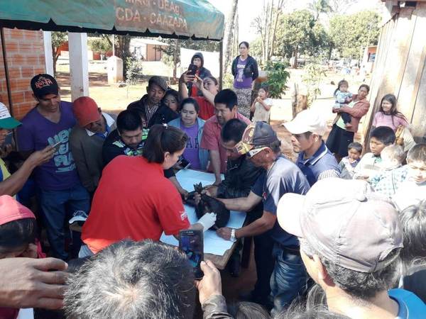 Comunidad indígena celebró día de campo en Caazapá con producción suina | .::Agencia IP::.