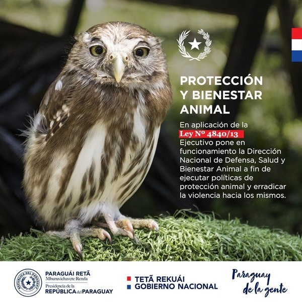 Ejecutivo crea Dirección Nacional de Defensa, Salud y Bienestar Animal - Digital Misiones