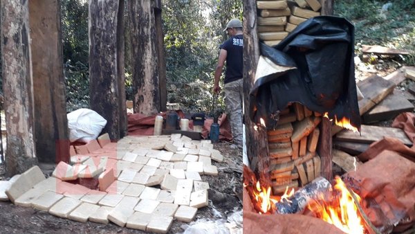 NARCOS ELIGEN ZONAS IMPENETRABLES PARA CULTIVAR MARIHUANA EN LA RESERVA.