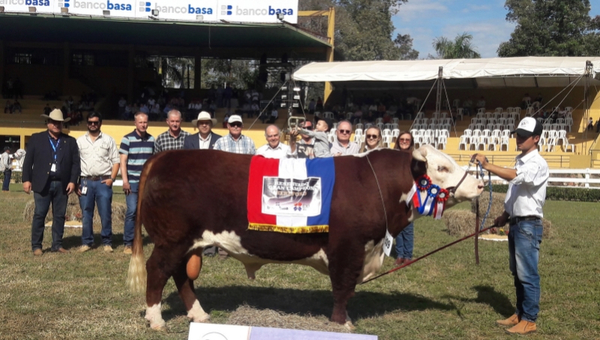 Eligieron a los primeros grandes campeones de la Expo 2019