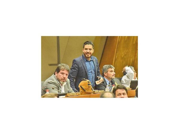 Para Portillo, Celeste debe formar fila entre los que deben perder investidura