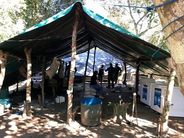 Desarticulan campamentos narcos con más de 12 toneladas de marihuana en Capitán Bado