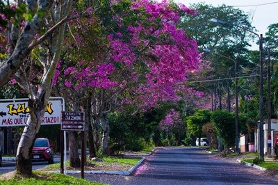 Viernes soleado y cálido - Digital Misiones
