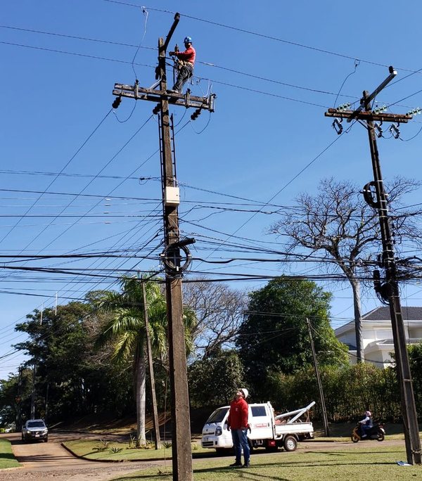ANDE realizó mantenimiento de redes de distribución eléctrica de Hernandarias | .::Agencia IP::.