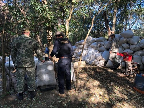 Desmantelan campamentos del narcotráfico en reservas de Amambay