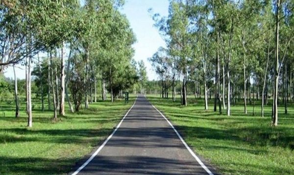 Ciudadanos se oponen a construcción de Universidad Taiwan en el Parque Guasu » Ñanduti