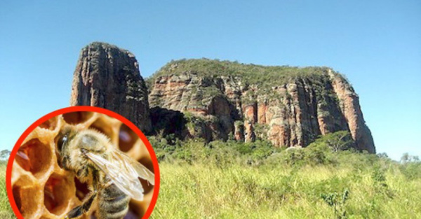 Las káva que protegen el gran cerro Memby