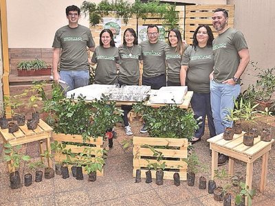 Movidos por el  Papa, jóvenes plantarán unos 75.000 árboles