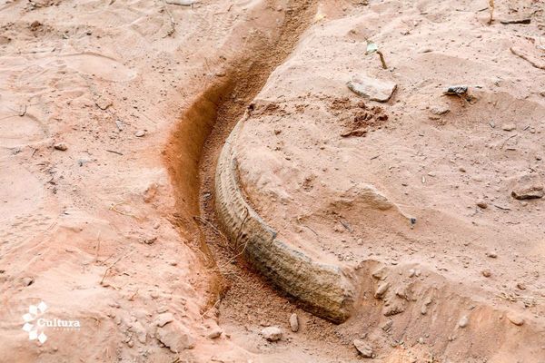 Arqueólogos verifican hallazgos de cerámica guaraní en Limpio