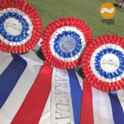 Arranca el concurso de salto internacional de Caballos Compartidos » Ñanduti