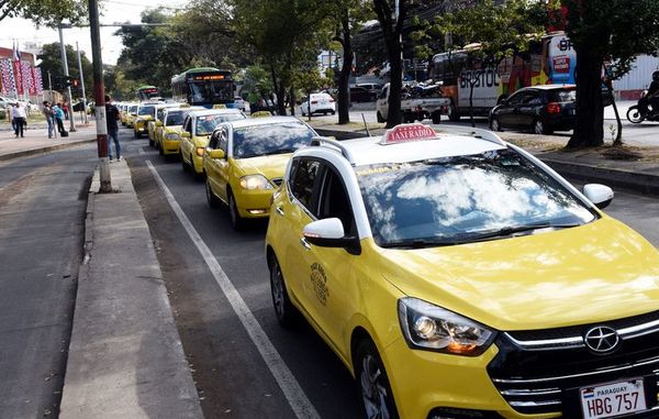 SET dice  que investiga hace tiempo a taxistas y ahora promete resultados - Locales - ABC Color