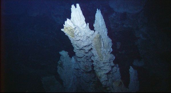 Ciudad Perdida, un indicio submarino del origen de la vida bajo amenaza - Ciencia - ABC Color