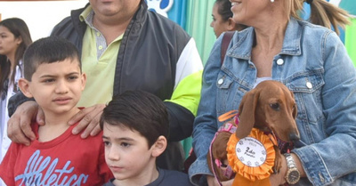 Eligieron a los perritos  más lindos de Encar he’i