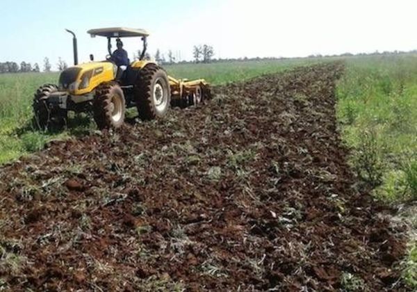 OCM y Asociación de Pequeños Productores de Misiones no temen al control vía GPS - Digital Misiones