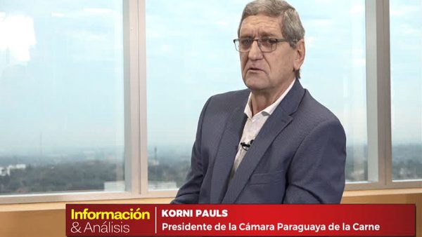 “Instituto de la carne es una falacia”