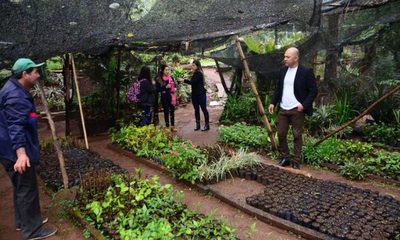 Buscan reactivar vivero municipal de Ciudad del Este