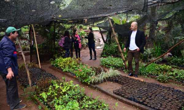 Buscan reactivar vivero municipal de Ciudad del Este