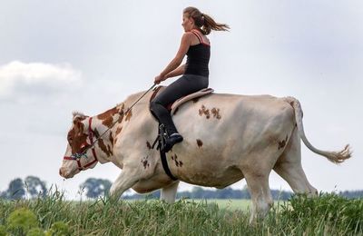 Aprender a montar sin caballo - Mascotas - ABC Color