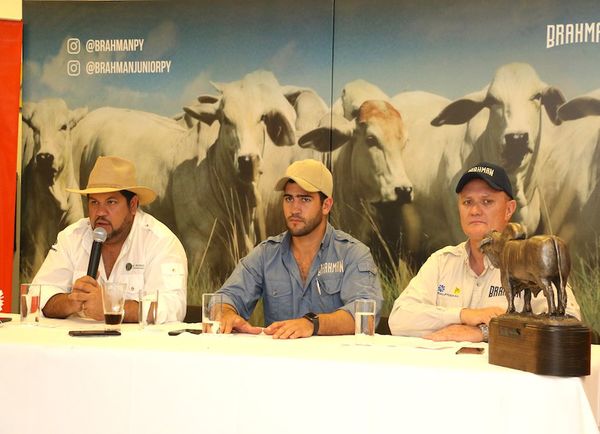 Paraguay mostrará lo mejor de su genética Brahman al mundo