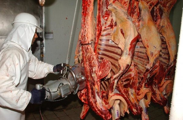 Brasil cuatriplica sus exportaciones de carne vacua a los Emiratos Árabes Unidos