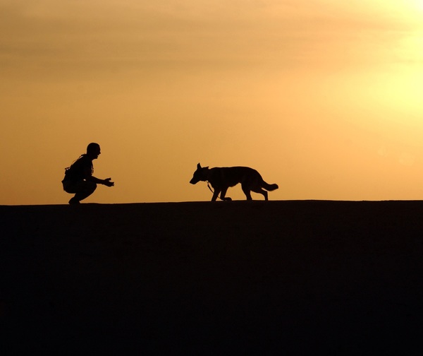 Aseguran que perder a una mascota, es igual a perder a un familiar humano