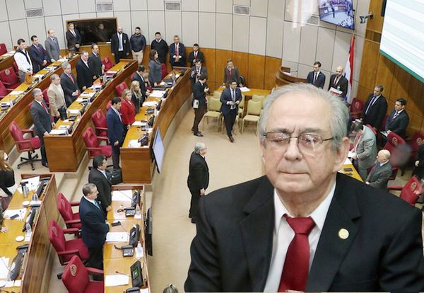 Tras incidentada sesión del Senado, toman juramento a Torres Kirmser