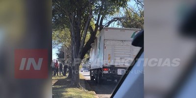 CAMIÓN CIRCULÓ POR ZONA PROHIBIDA E IMPACTÓ CONTRA LA RAMA DE UN ÁRBOL.