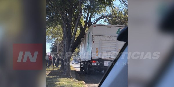 CAMIÓN CIRCULÓ POR ZONA PROHIBIDA E IMPACTÓ CONTRA LA RAMA DE UN ÁRBOL.