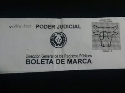 “El sistema de Senacsa es vulnerable y debe ser modificado”, señalan transportistas de ganado  - Periodísticamente - ABC Color