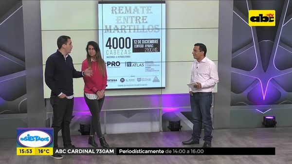 Tercera edición de el “Remate entre Martillos” - Ensiestados - ABC Color
