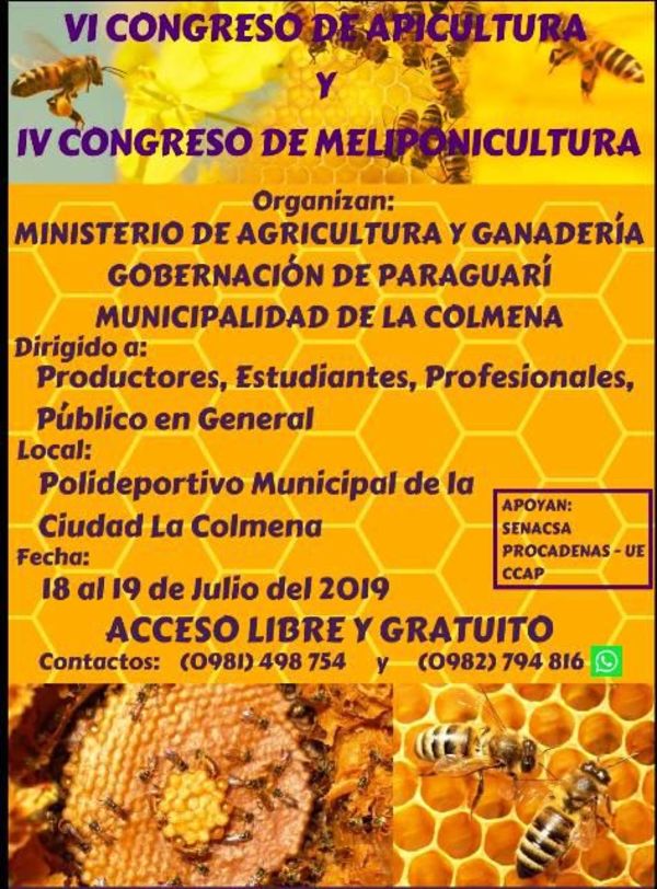 El VI Congreso de Apicultura - ABC Rural - ABC Color