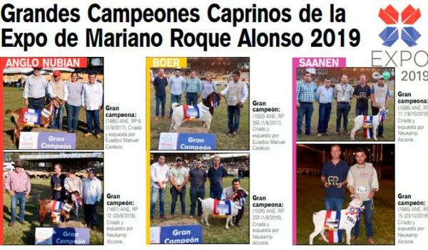 Grandes Campeones Caprinos, Expo Internacional 2019 - ABC Rural - ABC Color