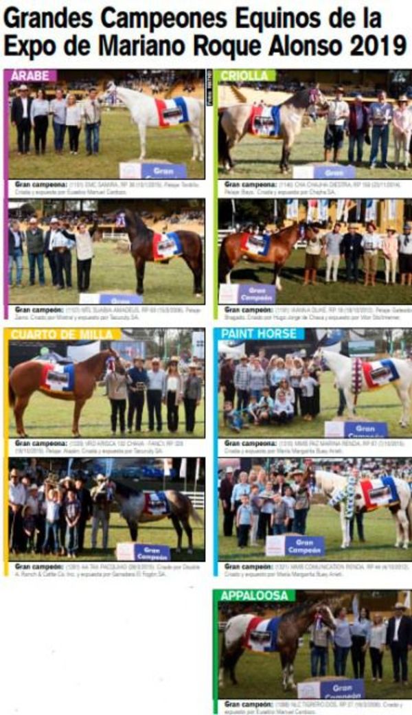 Grandes Campeones Equinos, Expo MRA. 2019 - ABC Rural - ABC Color