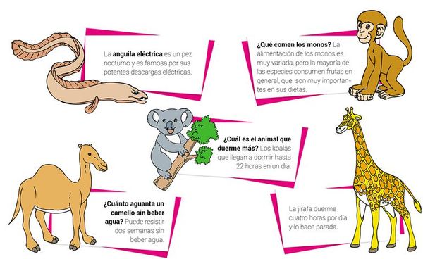 Curiosidades del reino animal - Escolar - ABC Color