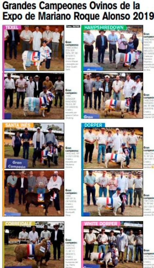 Grandes Campeones Ovinos Expo MRA. 2019 - ABC Rural - ABC Color
