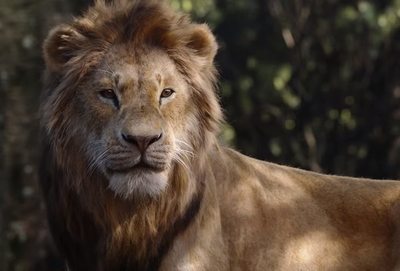 Donald Glover, Simba en “El Rey León”: “Al inicio fue intimidante” - Cine y TV - ABC Color