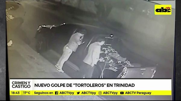 Nuevo golpe de tortoleros en trinidad - Crimen y castigo - ABC Color