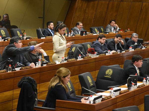 Diputados se aferran al autoblindaje y rechazan el  veto de Mario Abdo