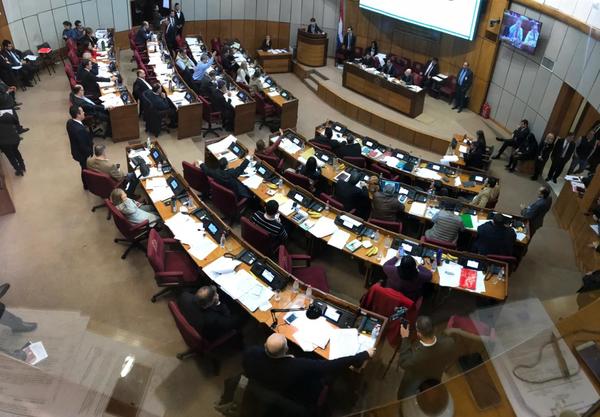Senado sesiona con 14 puntos en el orden del día, priorizando ley de adopción - ADN Paraguayo