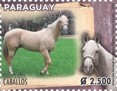 Lanzan nuevas estampillas de caballos Cuarto de Milla | .::Agencia IP::.
