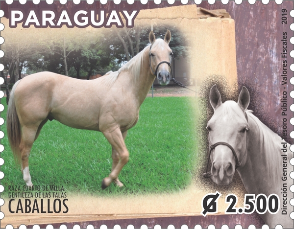 Lanzan nuevas estampillas de caballos Cuarto de Milla | .::Agencia IP::.