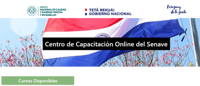 Senave lanza plataforma de capacitación para estudiantes y profesionales | .::Agencia IP::.