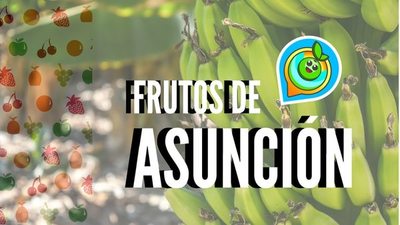 Los árboles frutales conquistan el mapa asunceno con una aplicación - {{content.taxonomy.primary_section.name}} - ABC Color