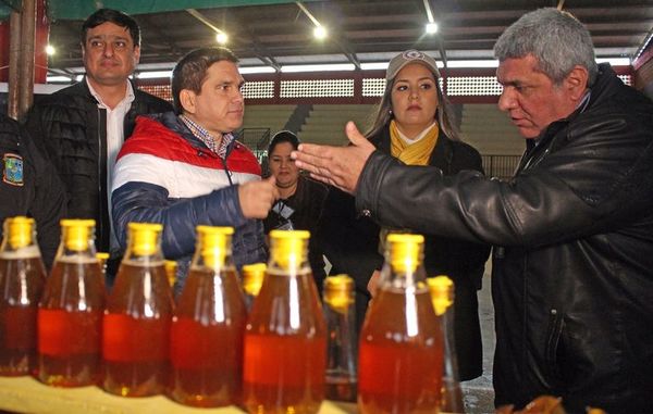 Apicultores piden ayuda para aumentar producción a nivel nacional - Nacionales - ABC Color