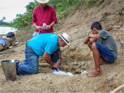 Niño descubre fósil de cocodrilo prehistórico en la Amazonía