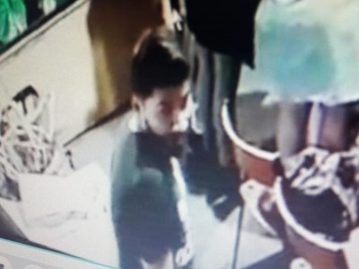 Policía pide ayuda para dar con ladrones del Juan de Zalazar