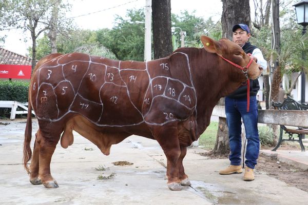 Exponen factores que determinan la calidad de cortes